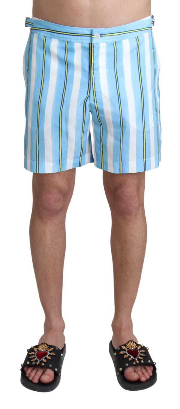 Blue Striped Beachwear Swimshorts