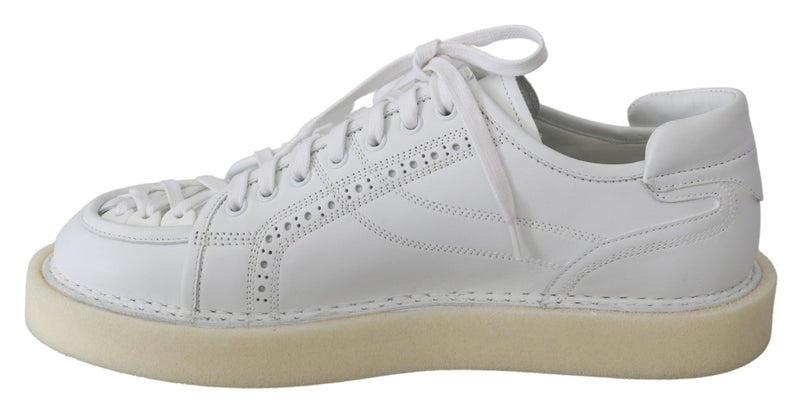 White Leather Low Top Sneaker Modigliani Shoes