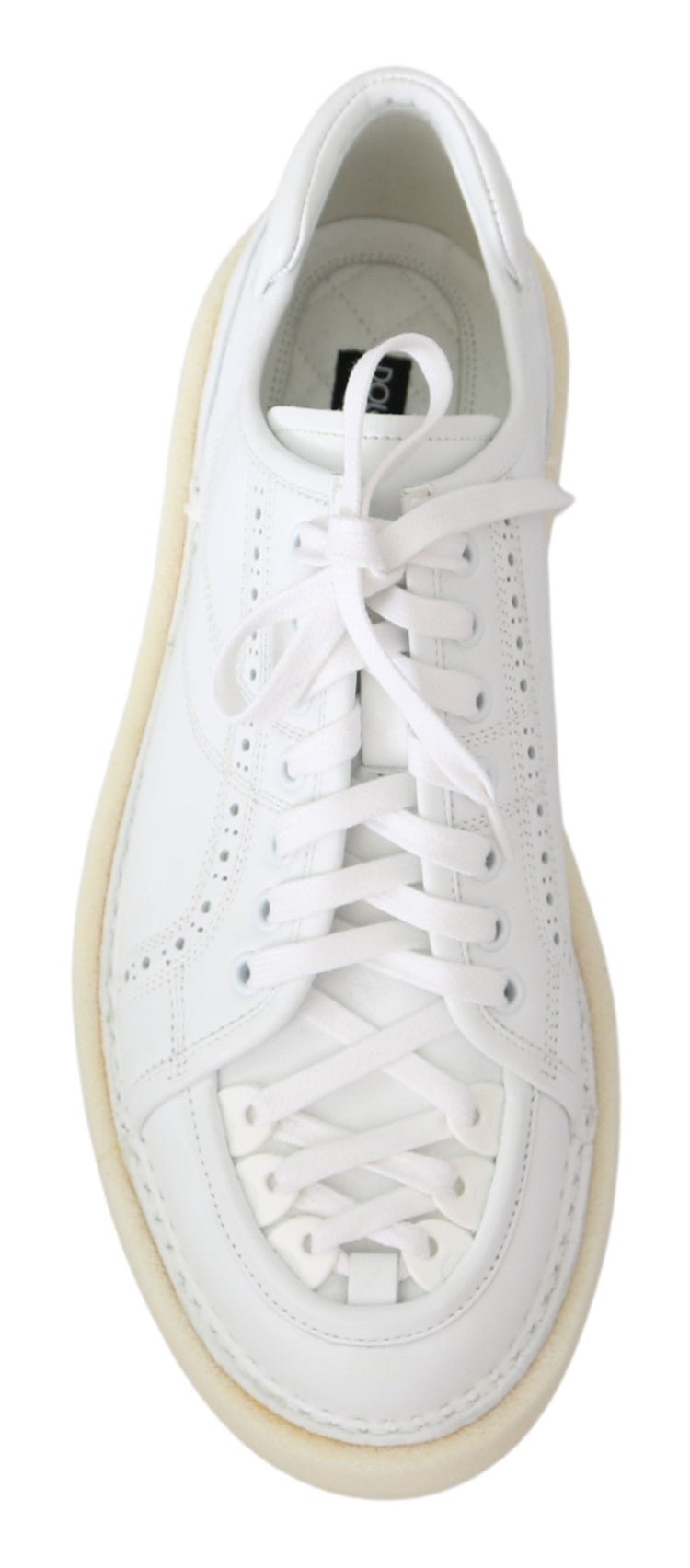 White Leather Low Top Sneaker Modigliani Shoes