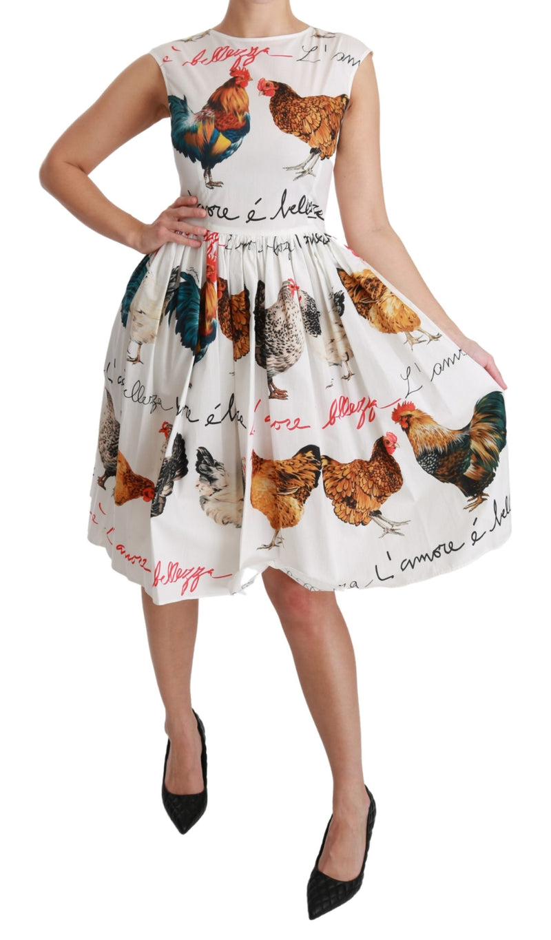 White Rooster A-Line Mini Cotton Dress