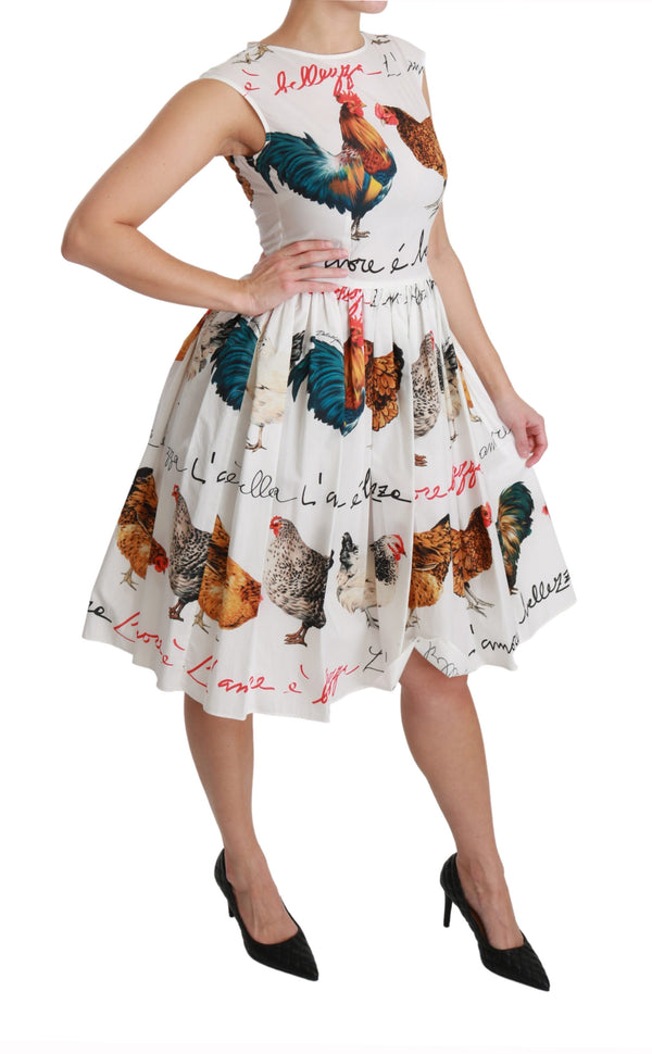 White Rooster A-Line Mini Cotton Dress