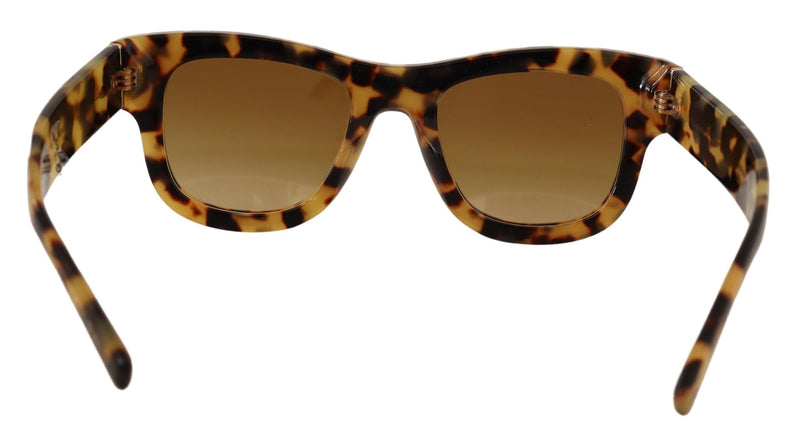 Brown Havana Horn Gradient Women DG4379F Sunglasses