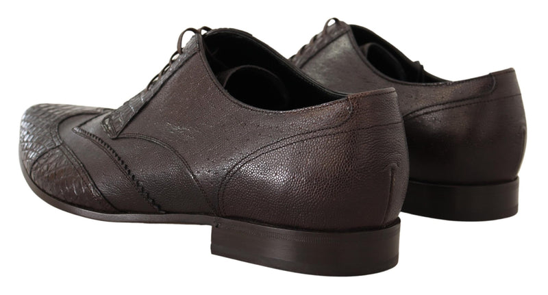 Brown Exotic Leather Derby Dress Shoes