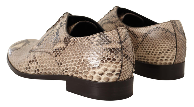 Beige Exotic Leather Oxford Dress Shoes