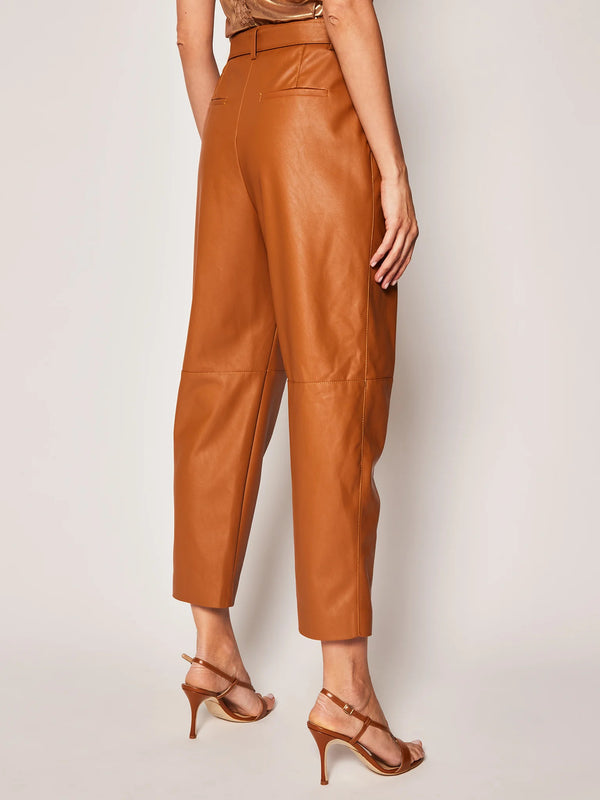 Brown Polyurethane Jeans & Pant